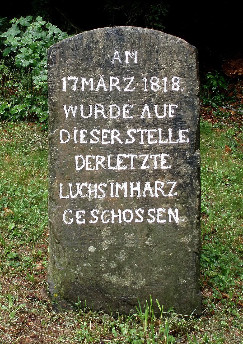 Stempelstelle 103: Luchsstein