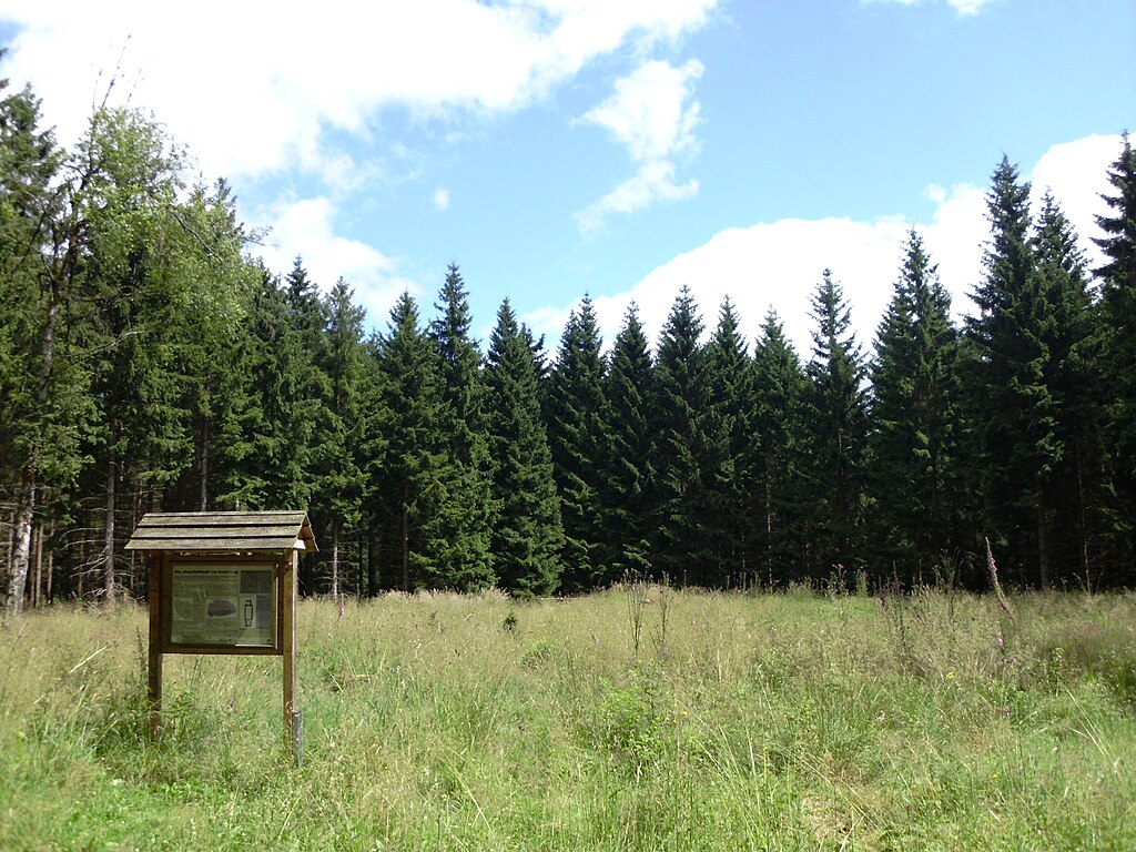 Stempelstelle 157: Kapellenfleck