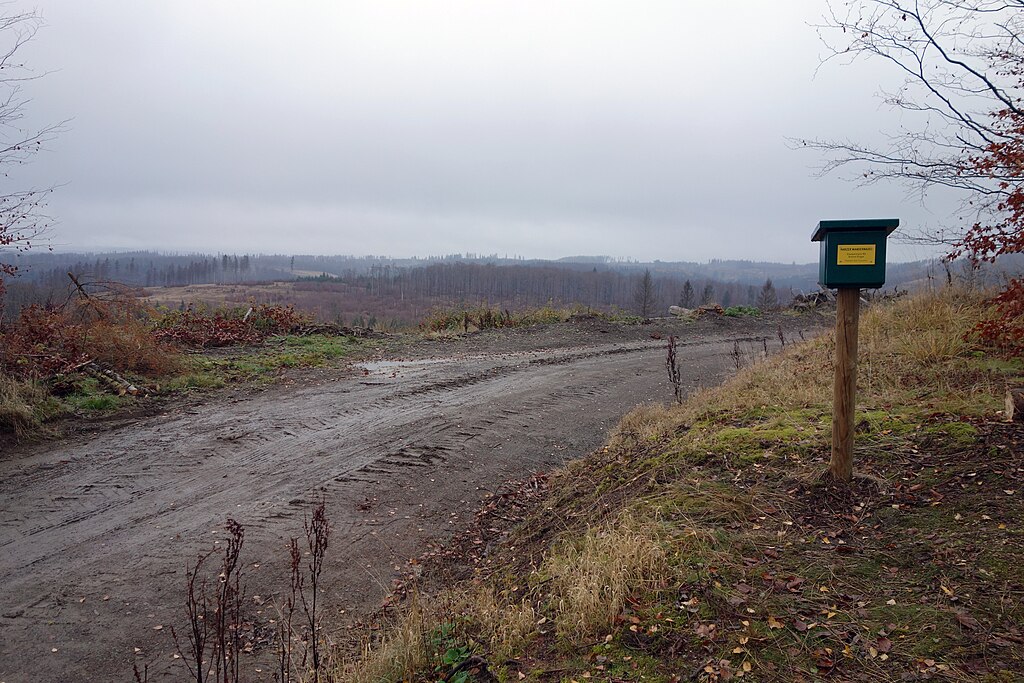 Stempelstelle 163: Gipfelblick am Kaiserweg