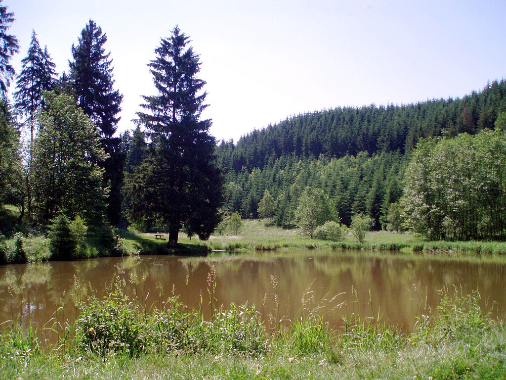 Stempelstelle 172: Katzsohlteich