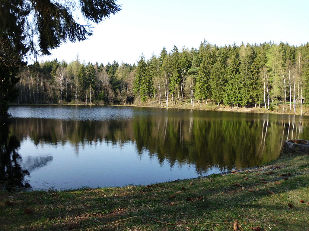 Stempelstelle 190: Bergrat-Müller-Teich