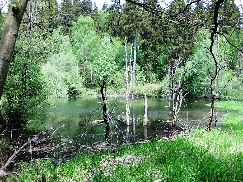 Stempelstelle 194: Hellergrund