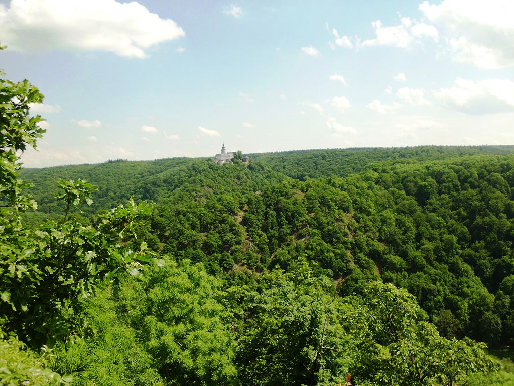 HWN 204 Selkesicht: Aussicht an der Ackeburg