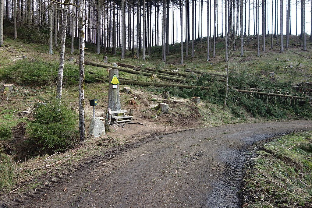 Stempelstelle 206: Hahnestein