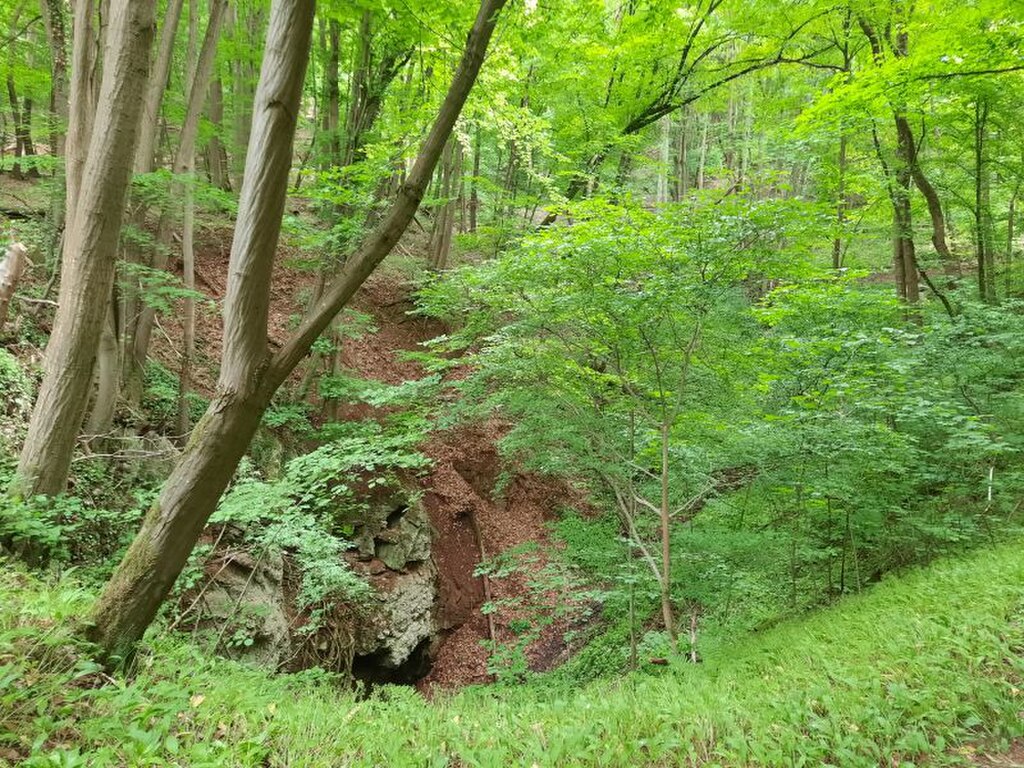 Stempelstelle 214: Reesbergdoline