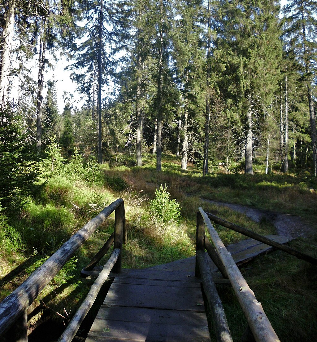 Stempelstelle 217: Sonnenkappe Oderteich