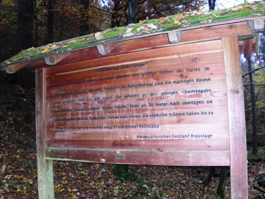 Stempelstelle 45: Dicke Tannen