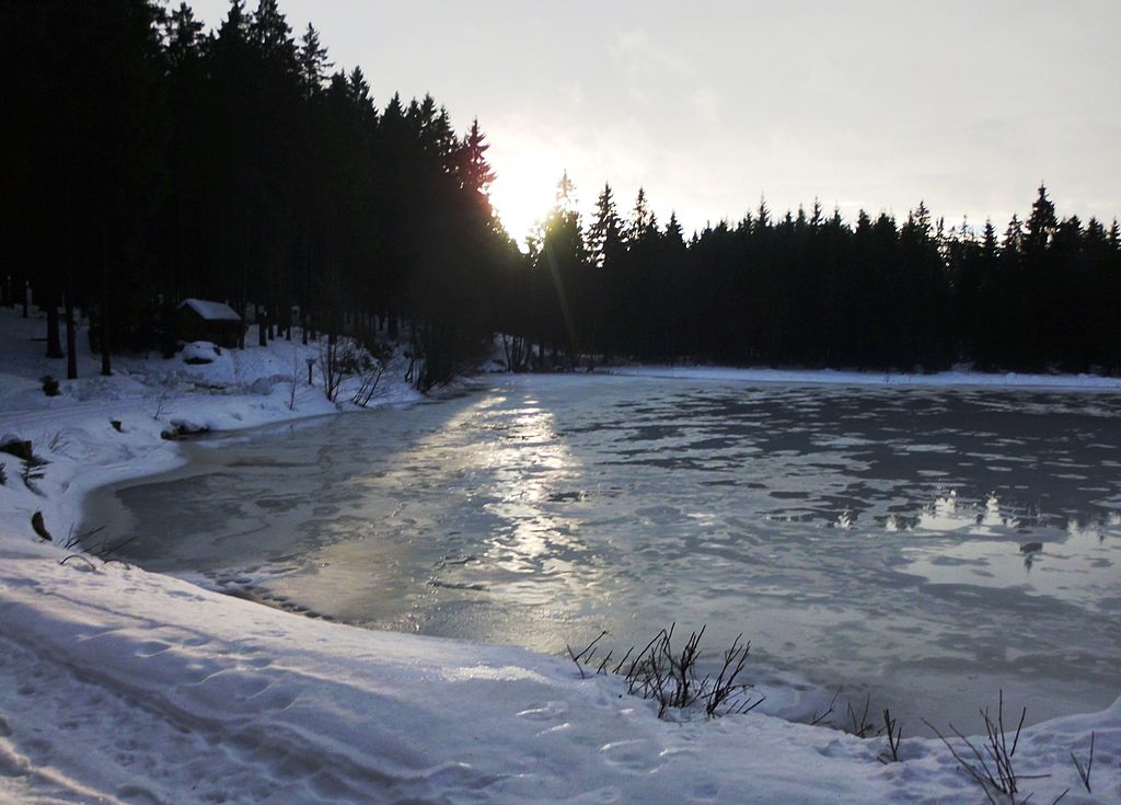 Stempelstelle 48: Stierbergsteich