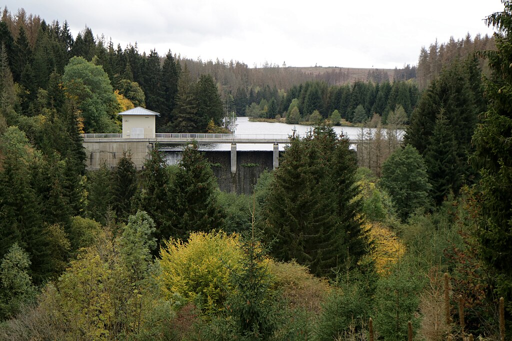 Stempelstelle 56: Rappbodeblick Trautenstein