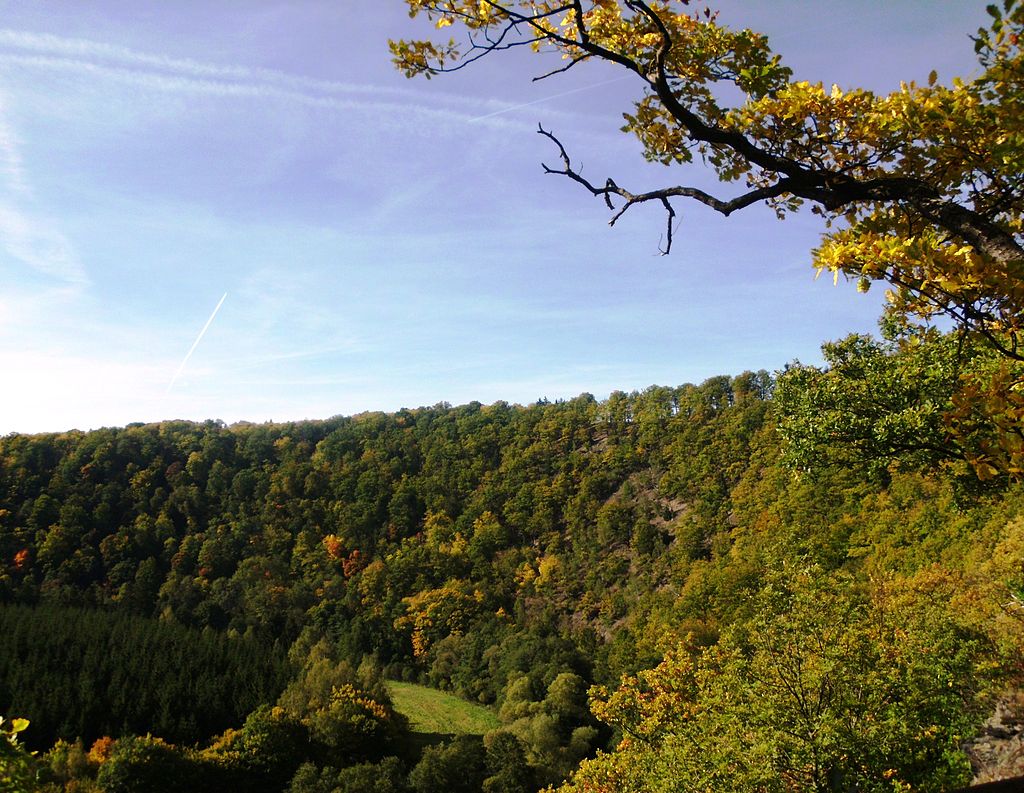 Stempelstelle 66: Wilhelmsblick