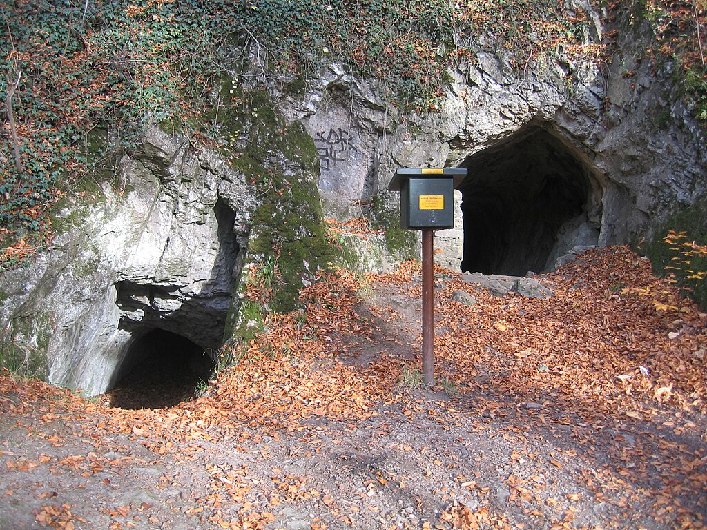 Stempelstelle 87: Volkmarskeller